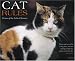 Book Cat Rules 2008 Calendar