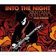 Into the Night