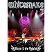 Whitesnake 1994: Here I Go Aga