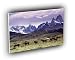 horse andes mountains argentina A2 Large Canvas