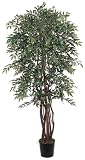 6 &acute; Smilax Silk Tree - B001DI641M