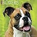 2016 Just Boxers Wall Calendar