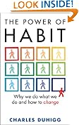 The Power of Habit: Why We Do What We Do, and How to Change