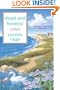 Death and Honesty (Martha's Vineyard Mysteries)