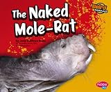 The Naked Mole-Rat (Pebble Plus)