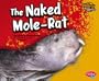 The Naked Mole-Rat (Weird Animals)