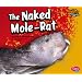 The Naked Mole-Rat (Weird Animals)