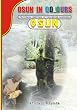 Osun in Colours: Pictorial History of the River Goddess,Osun