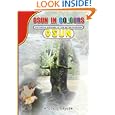 Osun in Colours: Pictorial History of the River Goddess,Osun by Kayode Afolabi