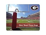 NCAA Georgia Bulldogs End Zone with ?G? Logo Full Color Print Deskpad