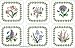 Pimpernel Botanic Garden Mix 3 Coasters - Set of 6