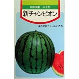 �������ԥ���(���ʸ���)������:1.3ml