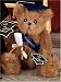 Smarty Bearington Dressed Teddy Bear Graduation Stuffed Animal Gift by Bearington Collection