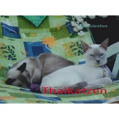 Thaikatzen