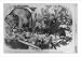 Historic Print (L): The Third-term Panic. An ass turned about in the forest and amuse...