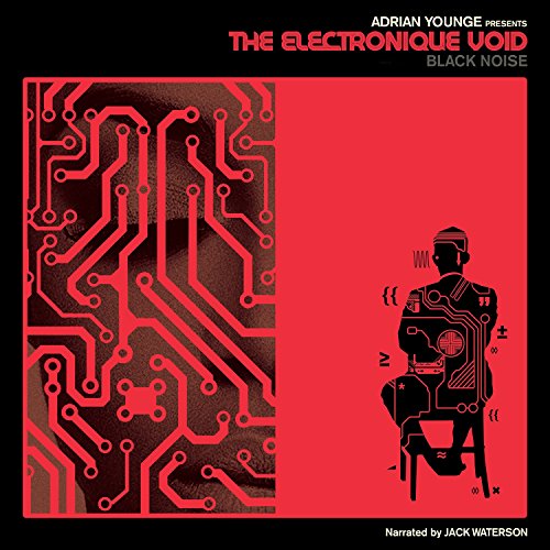 Album Art for Electronique Void: Black Noise by Adrian Younge