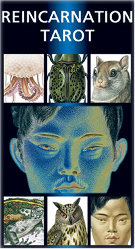 Tarot der Wiedergeburt, Tarotkarten