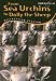 Book From Sea Urchins to Dolly the Sheep: Discovering Cloning (Chain Reactions)