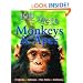 Monkeys and Apes (100 Facts)