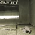 Close to Human