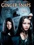 Ginger Snaps