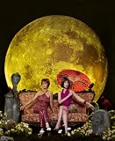 Pushing Daisies Poster TV K 11x17 Lee Pace Anna Friel Chi McBride Jim Dale Pushing Daisies Poster TV K 11x17 Lee Pace Anna Friel Chi McBride Jim Dale