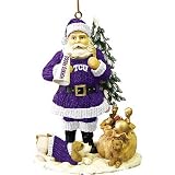Texas Christian Horned Frogs NCAA Santa's Cheer Tree Ornament by The Memory Company