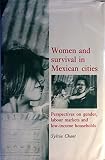 Women and survival in Mexican cities : perspectives on gender, labour markets and low-income households