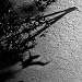 Max Richter: Blue Notebooks