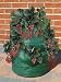 Strawberry And Herb Planter Bag