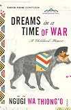 Dreams in a time of war : a childhood memoir
