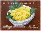 �y���������z�y��̓��M�t�g�z���\�[�v�t�����[ �t���[�����o�X�P�b�g �C�G���[ �y5/5~5/10�̊Ԃɂ��͂��z