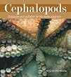 Cephalopods: Octopuses and...