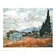 Vincent Van Gogh (Yellow Wheat and Cypresses) Art Poster Print - 24x32