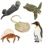 Incredible Creatures of Land and Sea