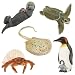 Incredible Creatures of Land and Sea