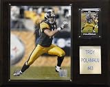 NFL Troy Polamalu Pittsburgh Steelers Player Plaque