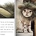 MEWTOGO Lion Mane Wig Funny Cat Kitty Little Puppy Costume, Adorable Pet Turned Hat, Small