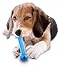 Hugs Pet Products Arctic Freeze Fetch Chew Toy