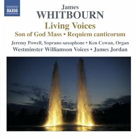 A brief story of Peter Abelard (verson for soprano saxophone and organ)