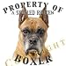boxer10 - Boxer CROPPED Mousepad Dog Mouse Pad Property Of