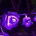 CrazyFire 6.5ft/2.2m Rose Flower String Lights,20 LEDs Purple Wedding Decorations Lights for Chritsmas Wedding Halloween Patio Party Fairy String Lights