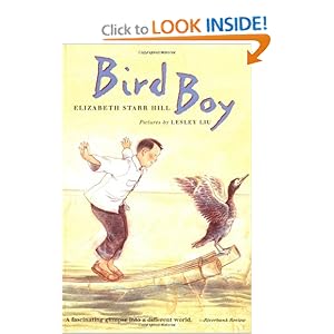 Bird Boy: Elizabeth Starr Hill, Lesley Liu: 97803