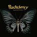 Black Butterfly [Explicit]
