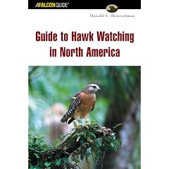 Guide to Hawk Watching in North America