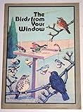 The birds from your window