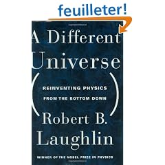 A Different Universe: Reinventing Physics from the Bottom Down