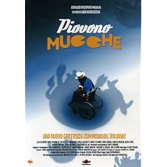 Piovono Mucche