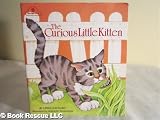The curious little Kitten