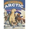 Way Up in the Arctic
